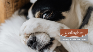 TMJ Dentist Dr.Mike Gallagher-Eden Prairie Dentist Office-Gallagher Dentistry and Facial Pain Center-TMJ Diagnosis and Treatment help with sleep positions